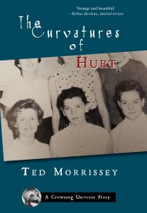 Curvatures of Hurt - CREATE SPACE COVER - Front Cover